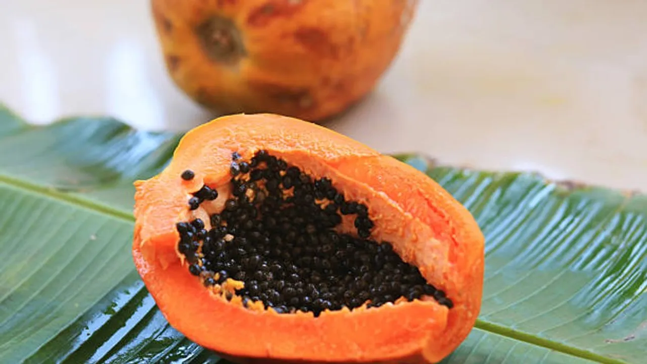 papaya