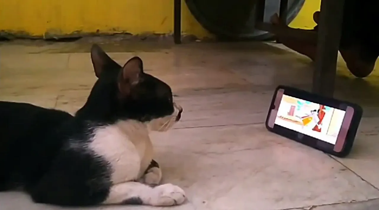 tom an jerry 1