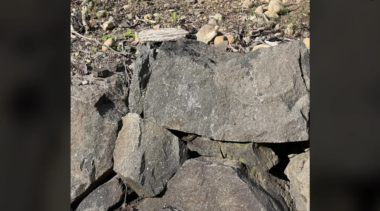 Snake stone 1