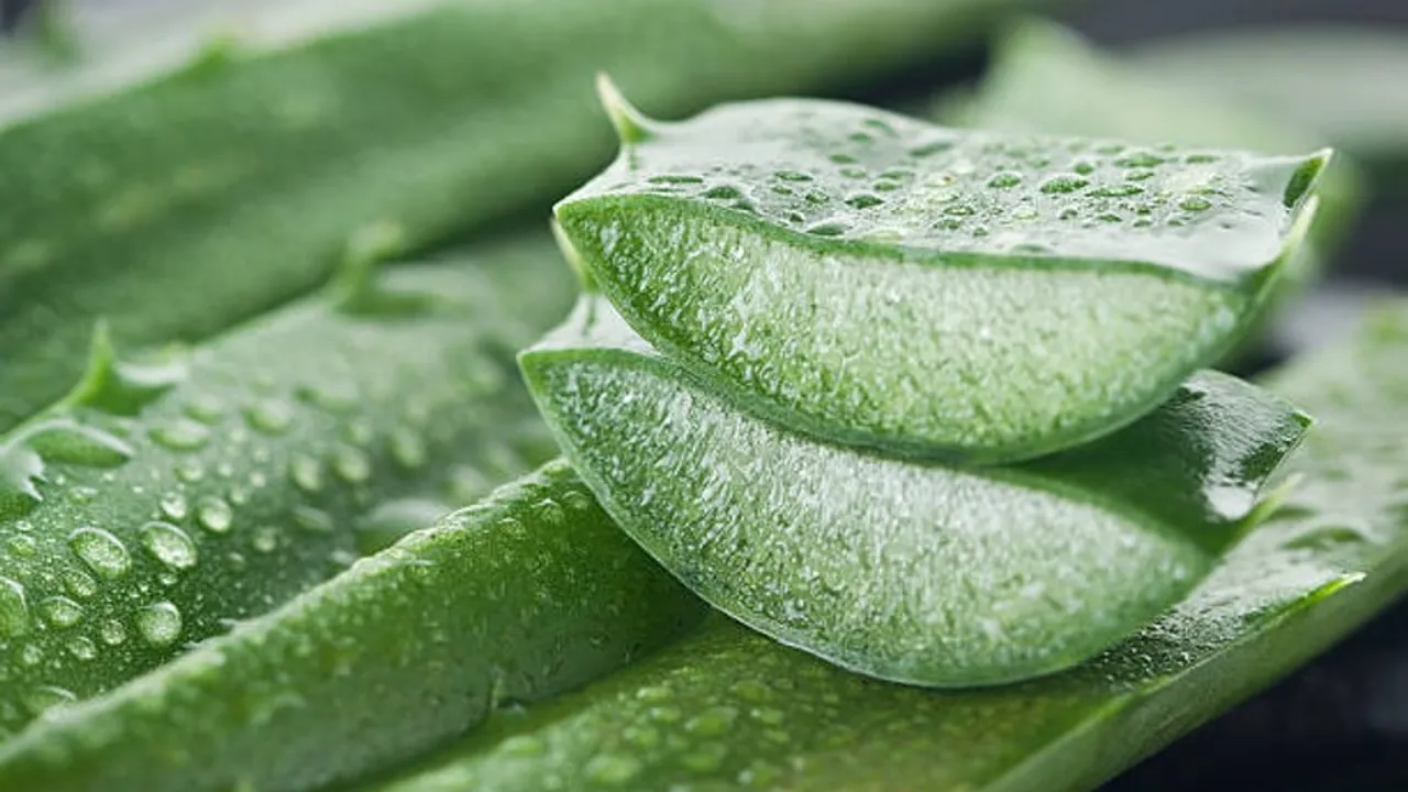 aloe gel