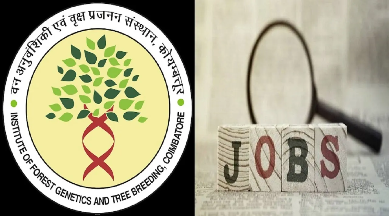 ifgtb jobs