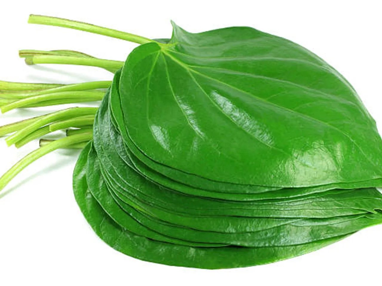 betel leaves