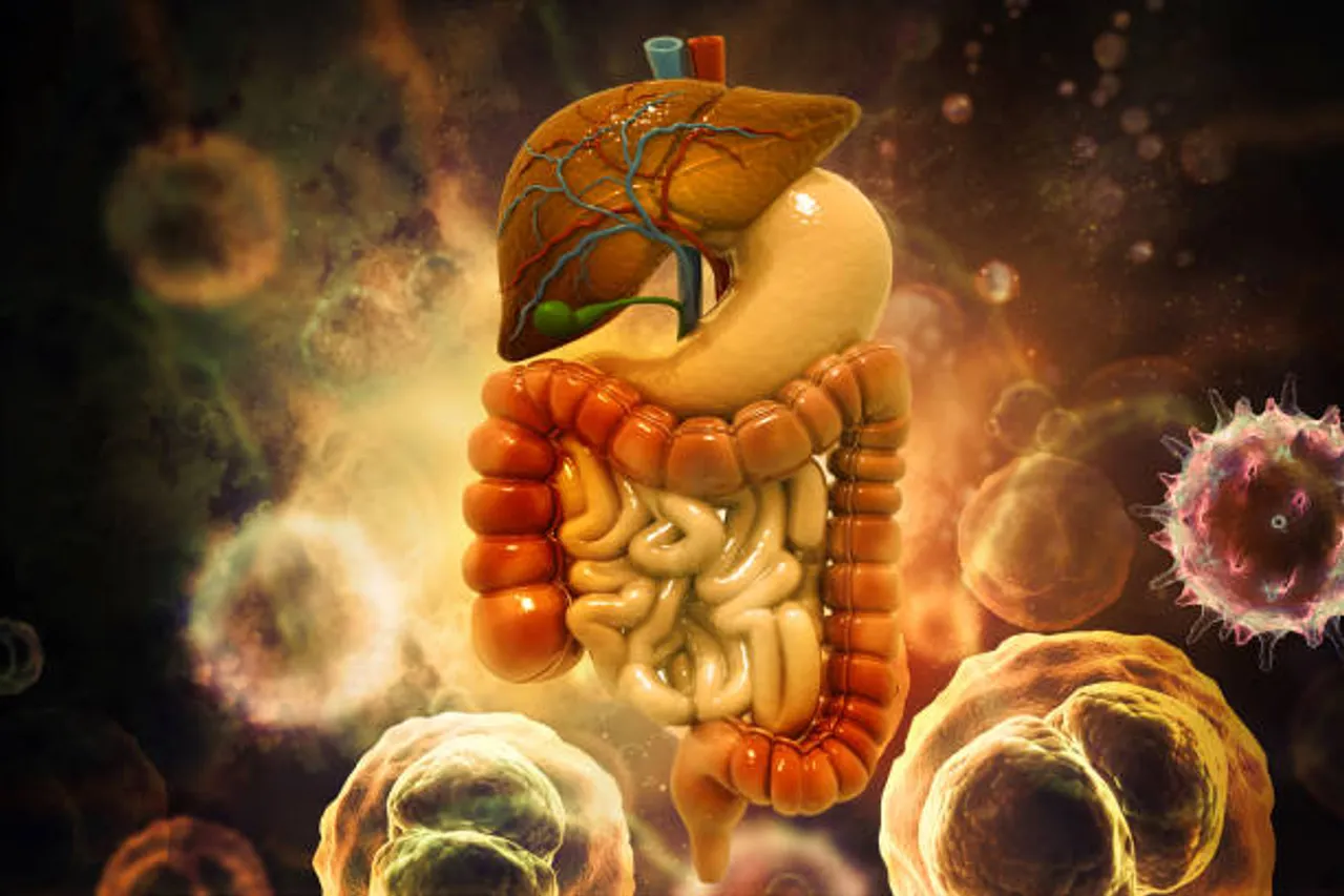 digestion
