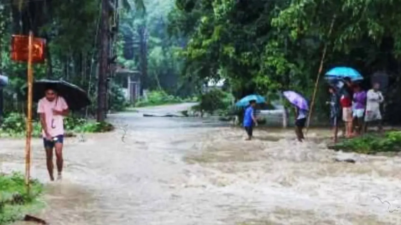 Snake in Flood 1