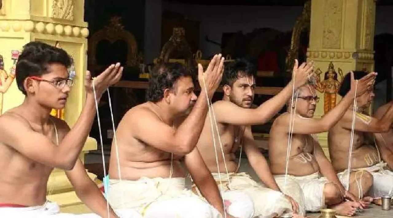 avani avi