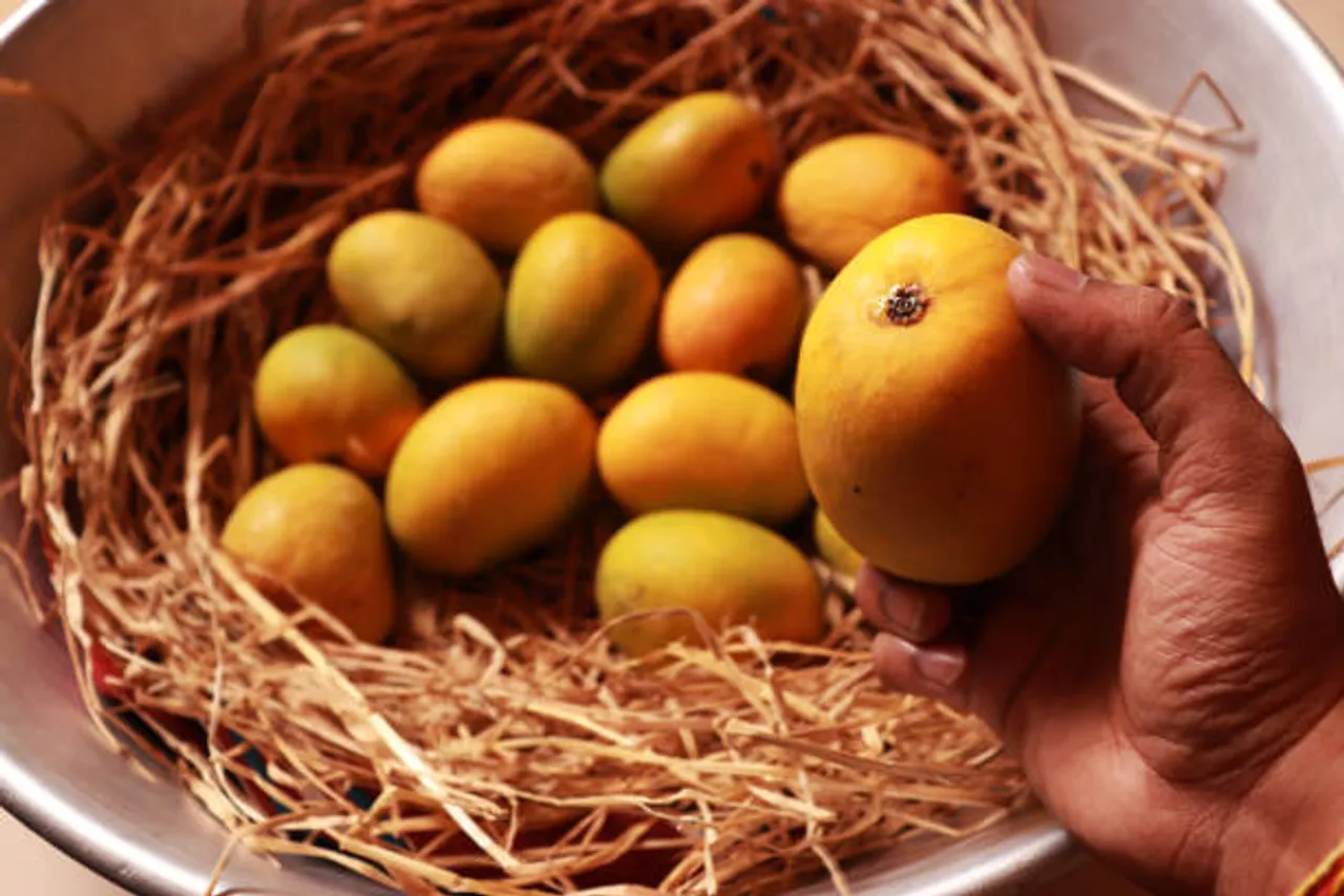 mango