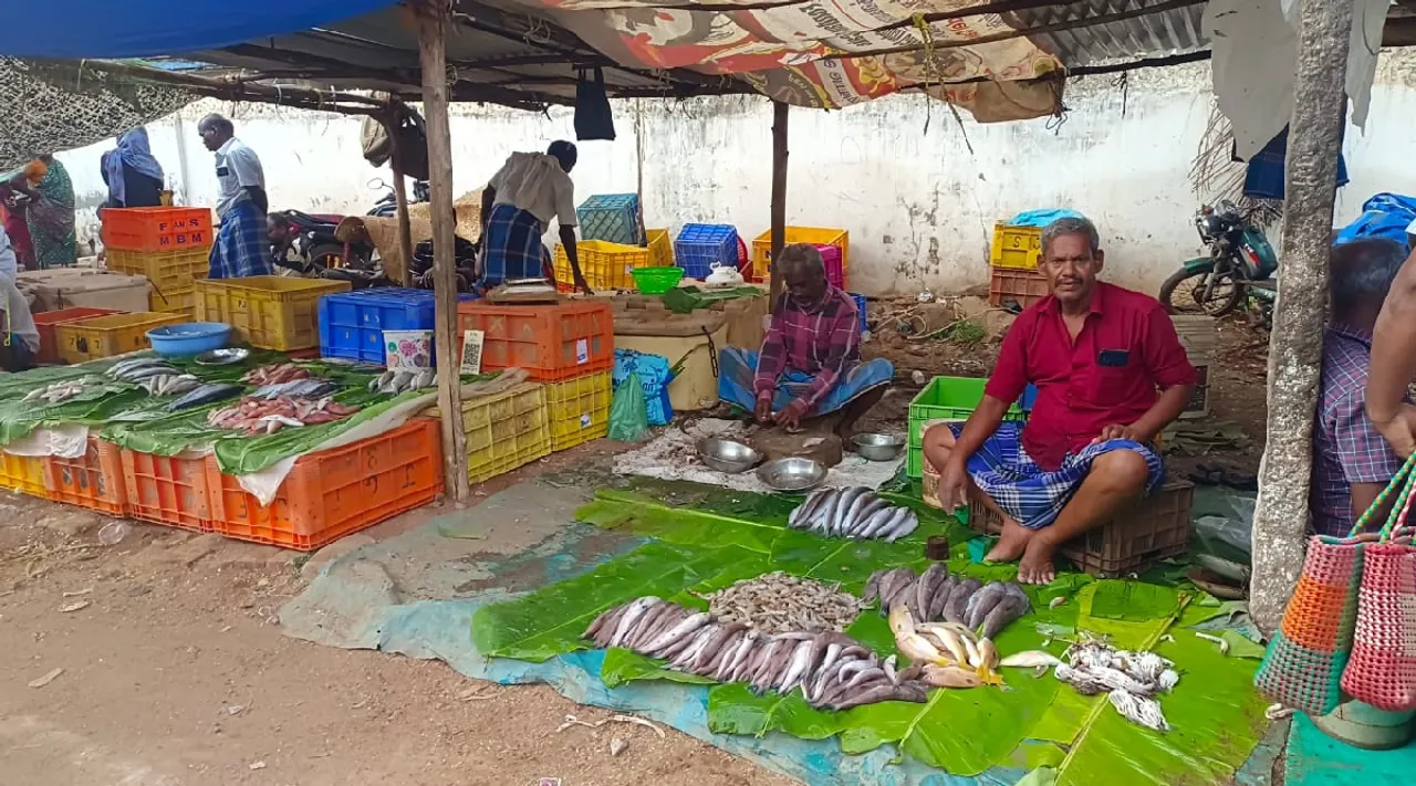 Sivagangai 8 kg of rotten fish seized from weekly market Tamil News 