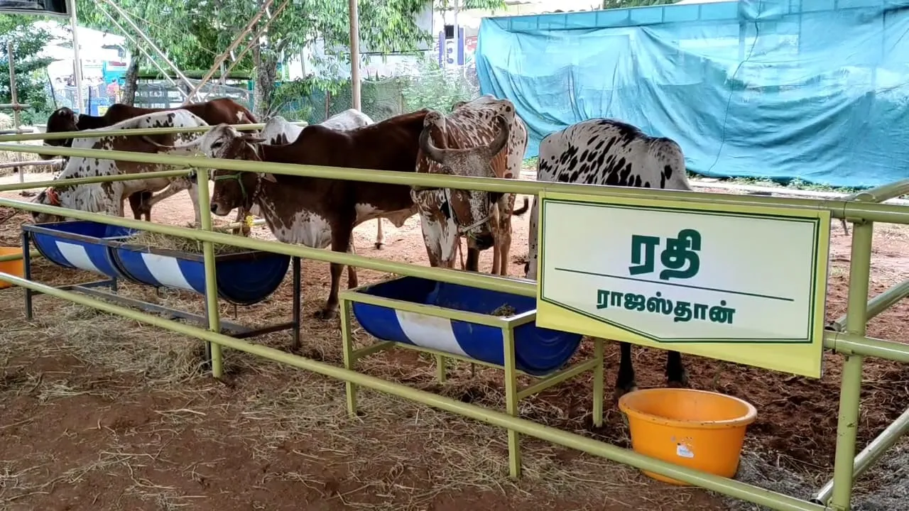 coimbatore 
