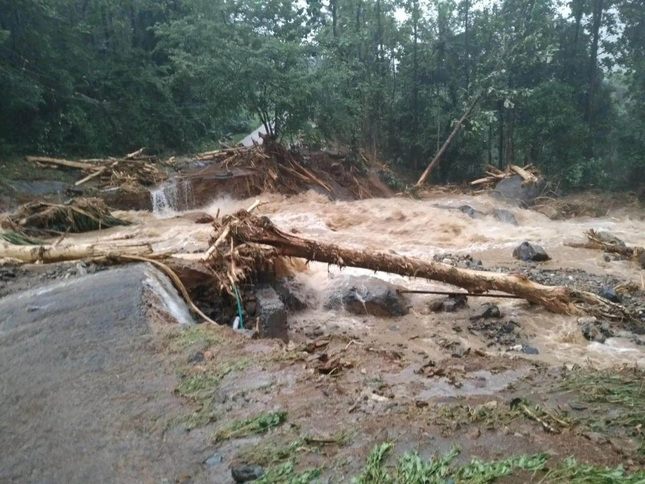kerala wayanad landslide 