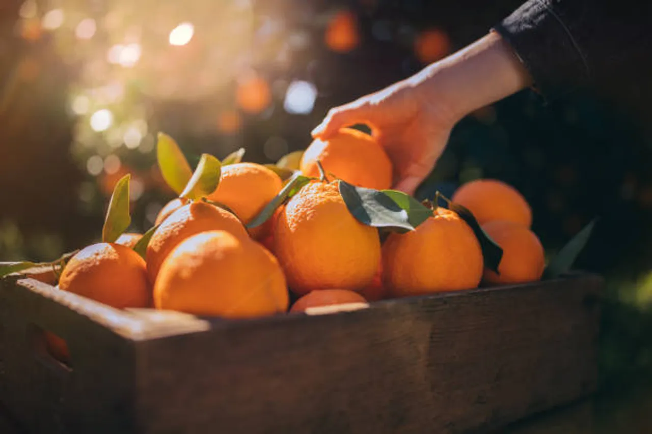 orange