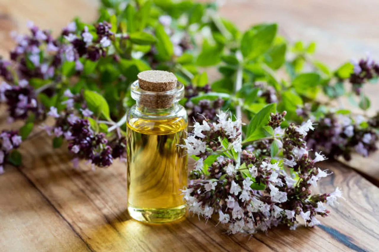 oregano oil