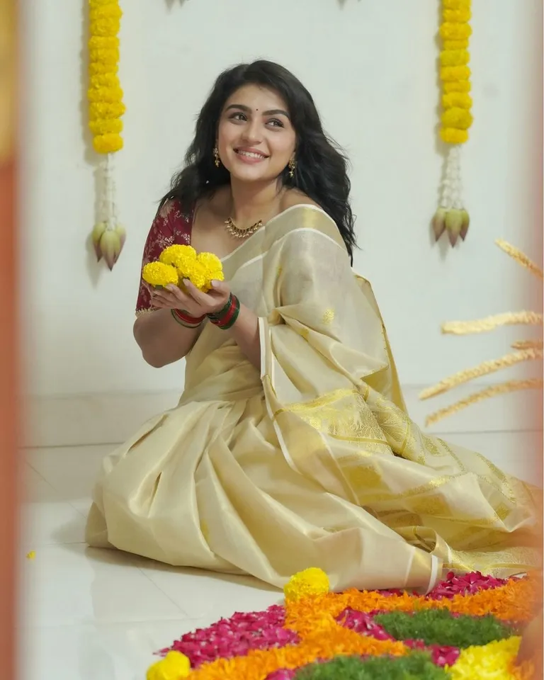 Onam Clicks