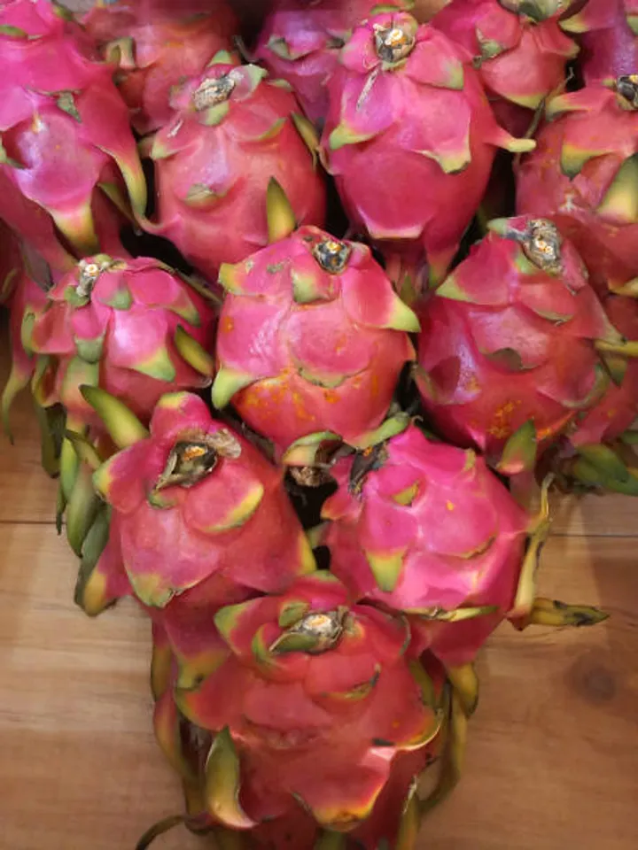 dragon fruit