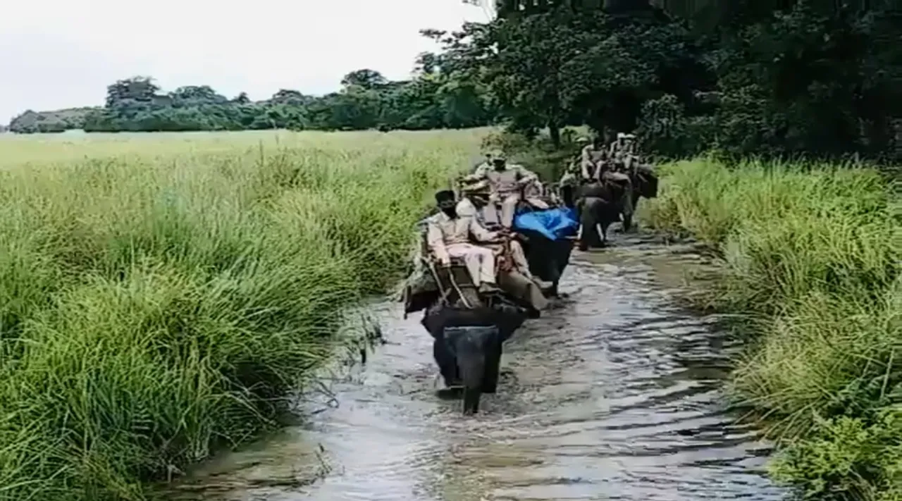 Elephant patrol 1