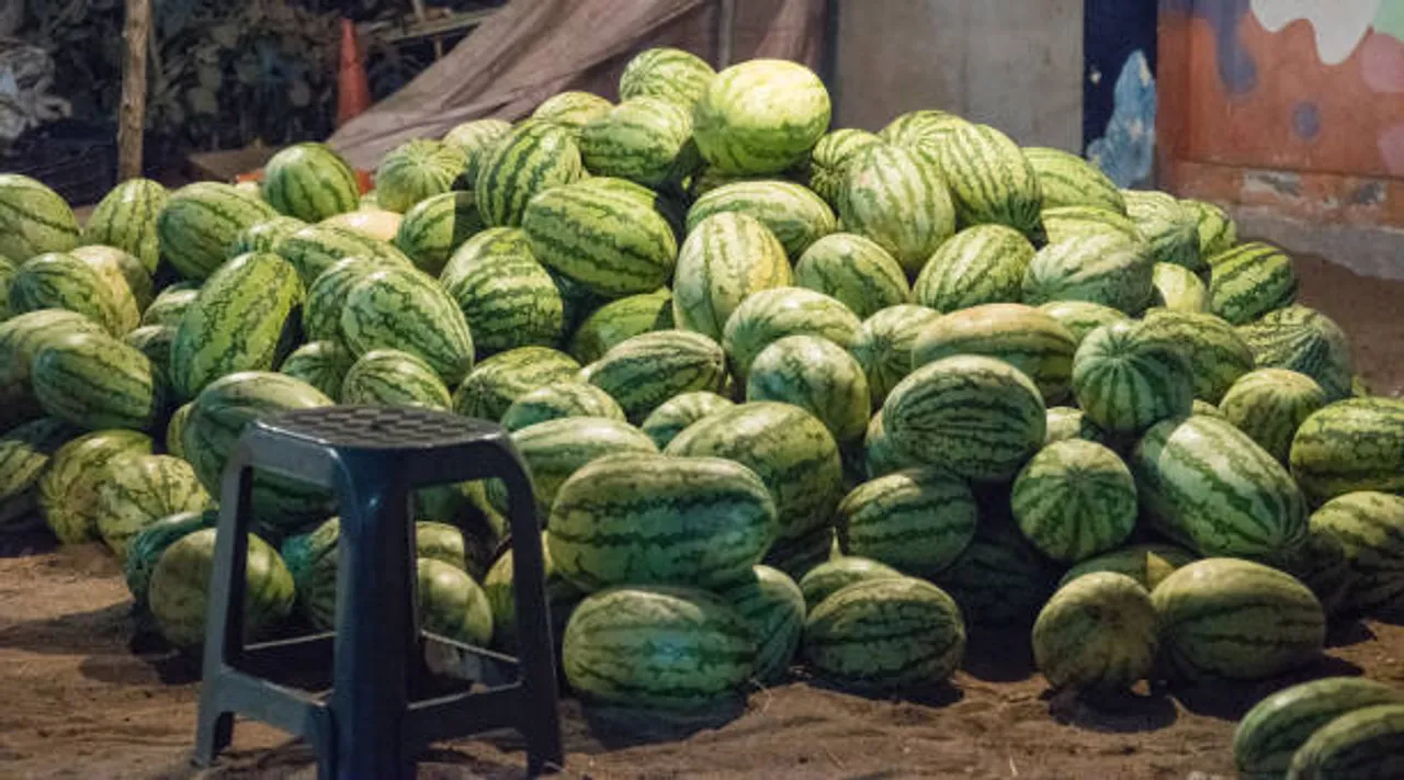 watermelon