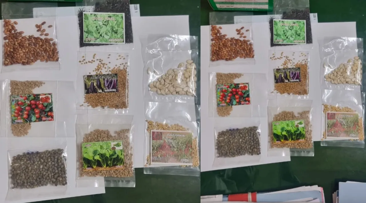 Puducherry govt free Terrace Garden Kit How and where to get Tamil News 