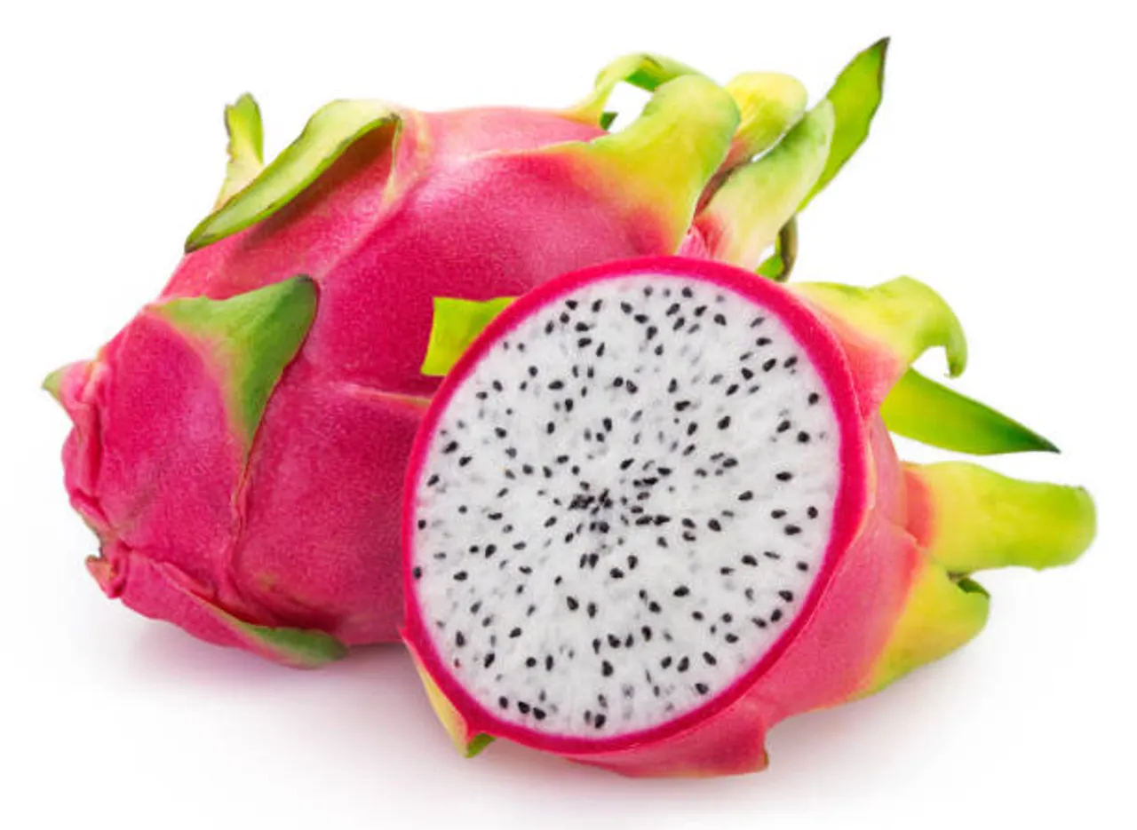 dragon fruit