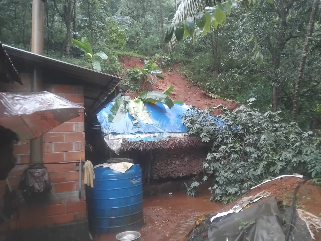 kerala wayanad landslide 