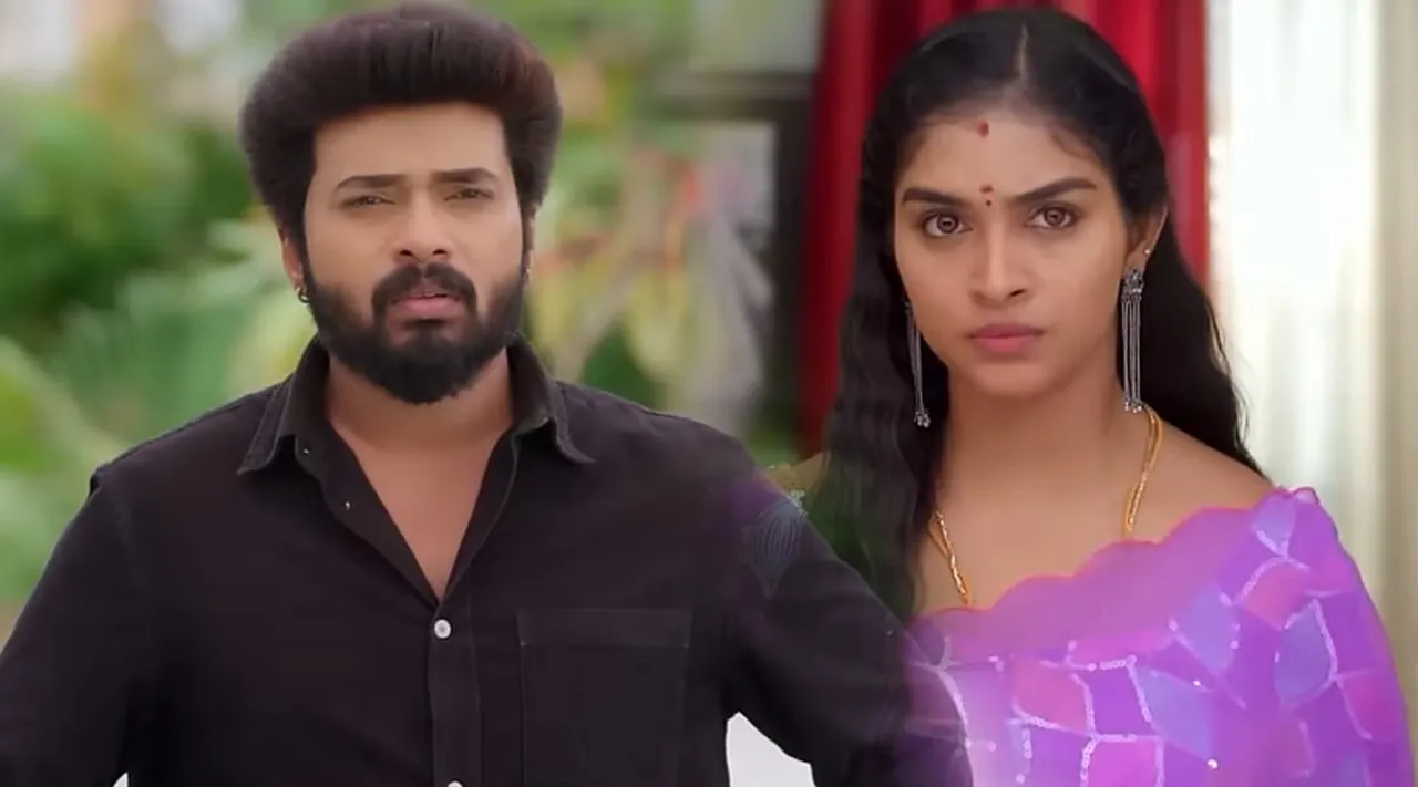 Karthigai deepam Serial Troll