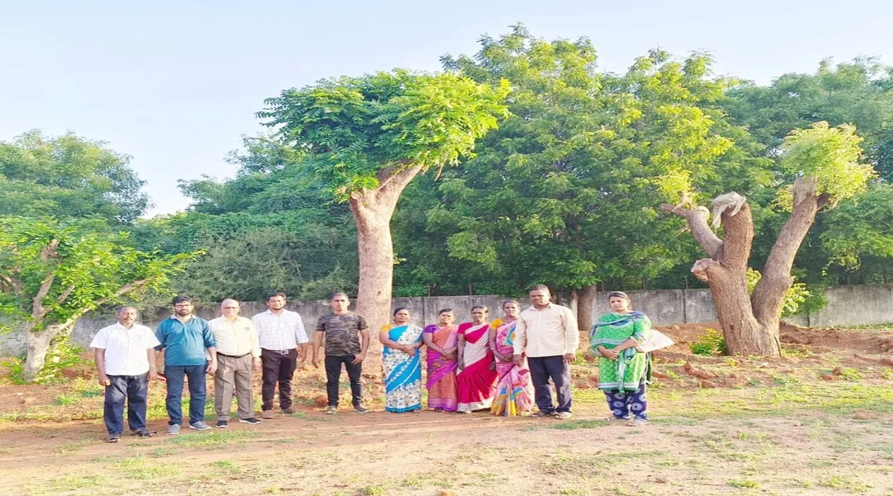 Trichy tree plantation
