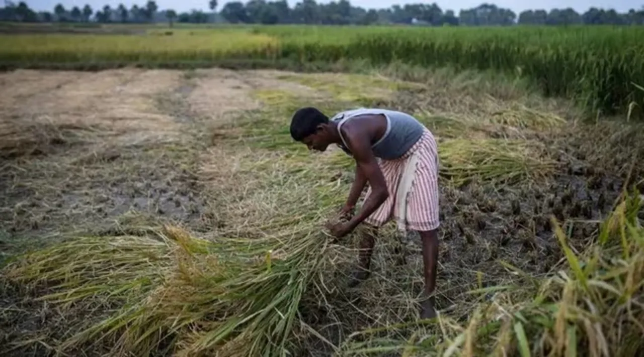 crop production