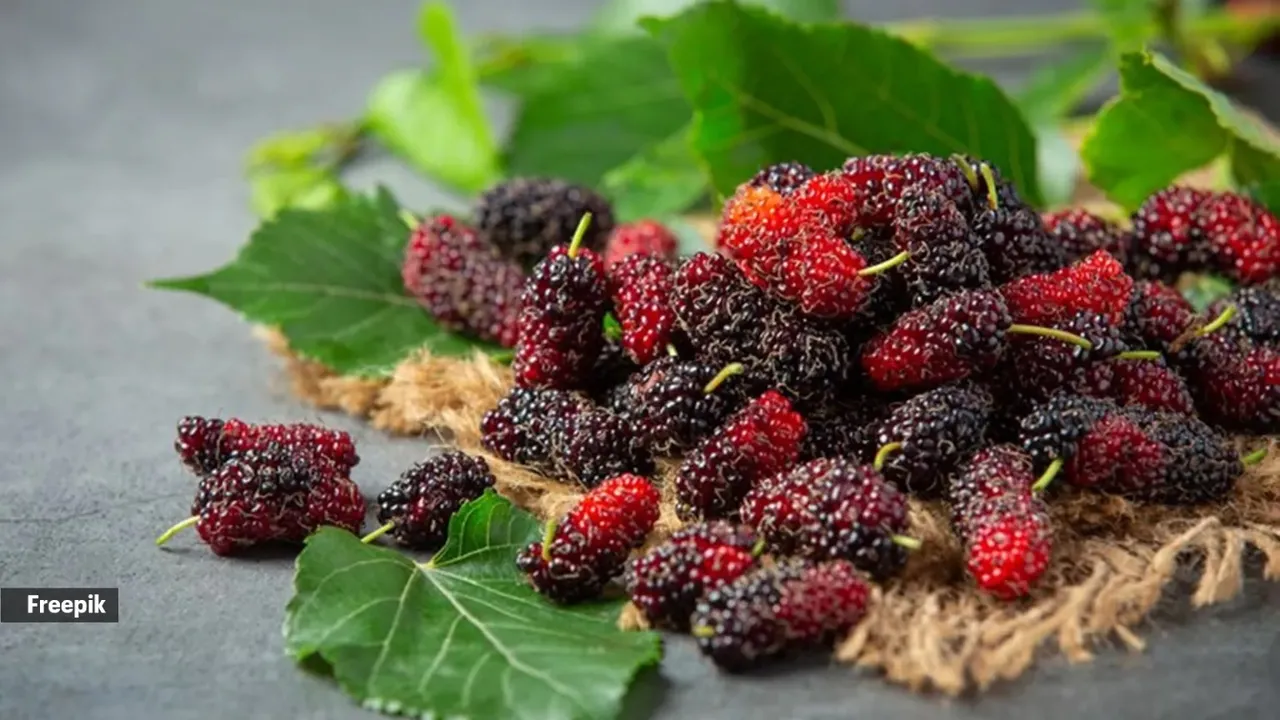 Mulberries
