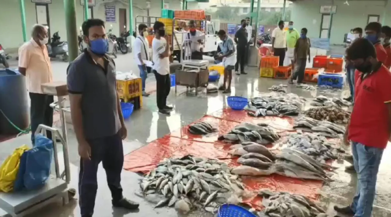 Fish.jpg