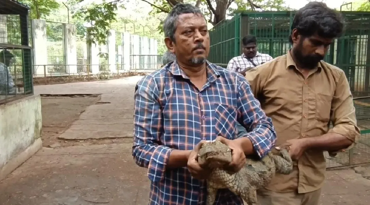 Coimbatore VOC park and zoo Animals  relocate Tamil News 