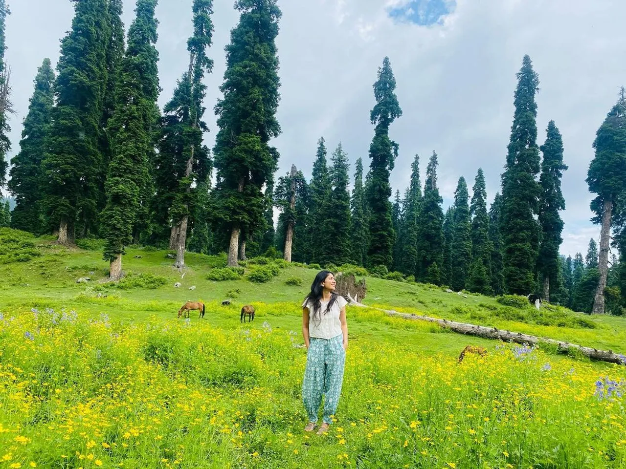 Sai Pallavi 2