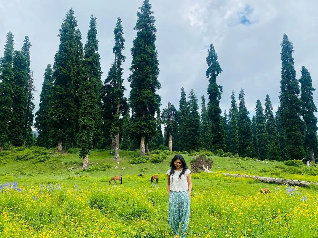 Sai Pallavi 2