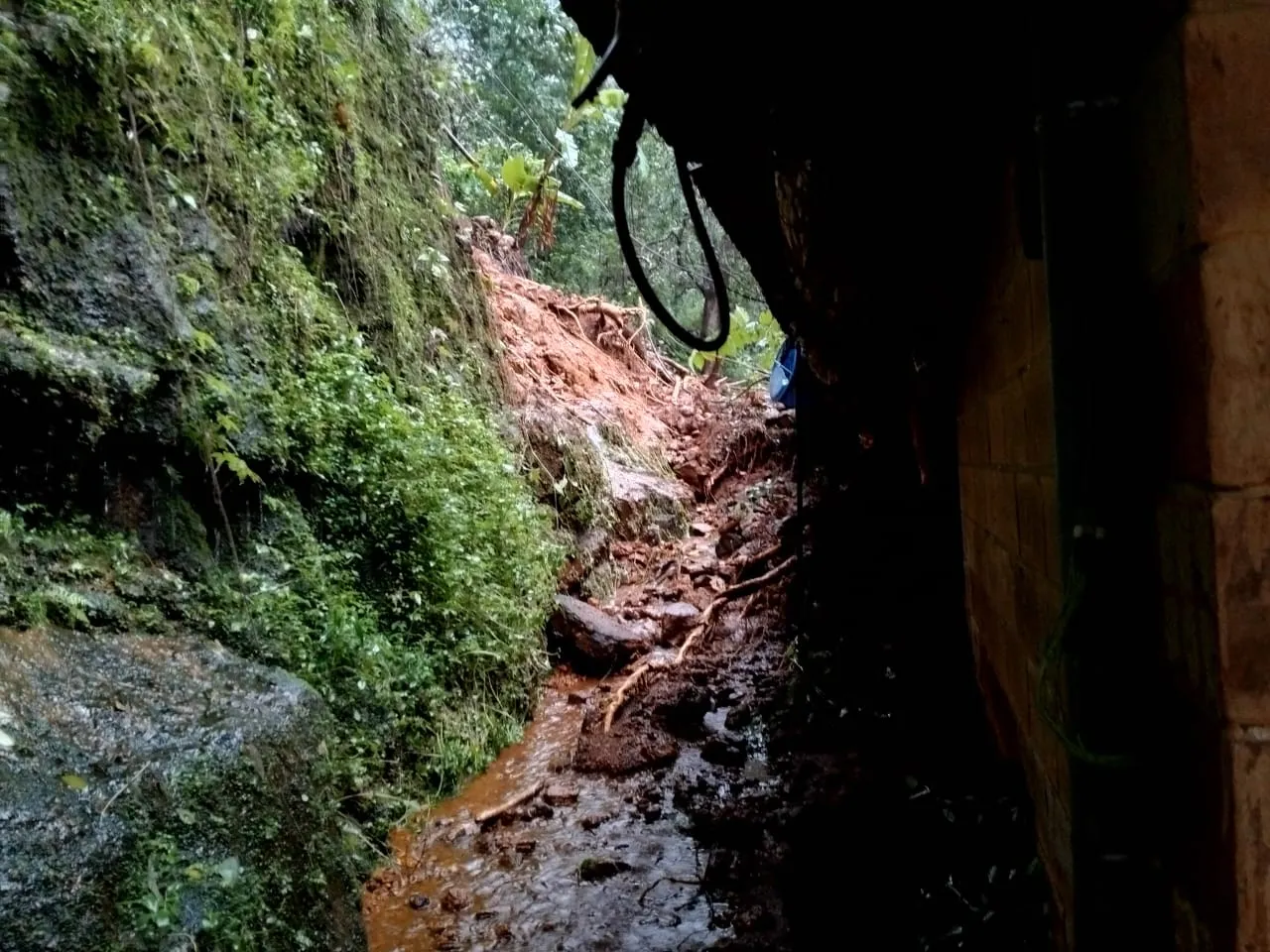 kerala wayanad landslide 