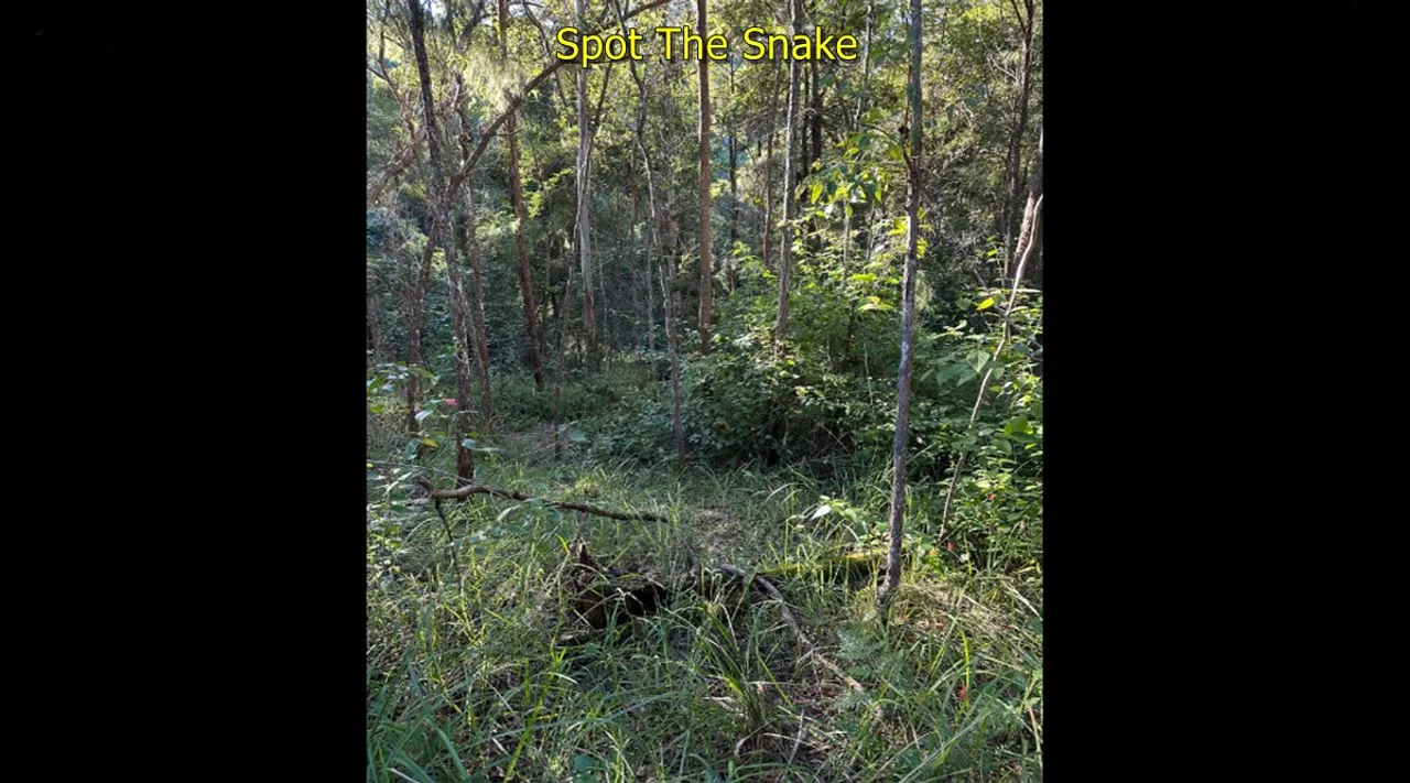 snake trees 3
