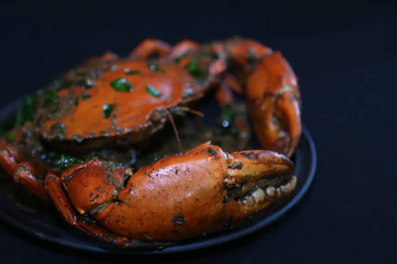crabs