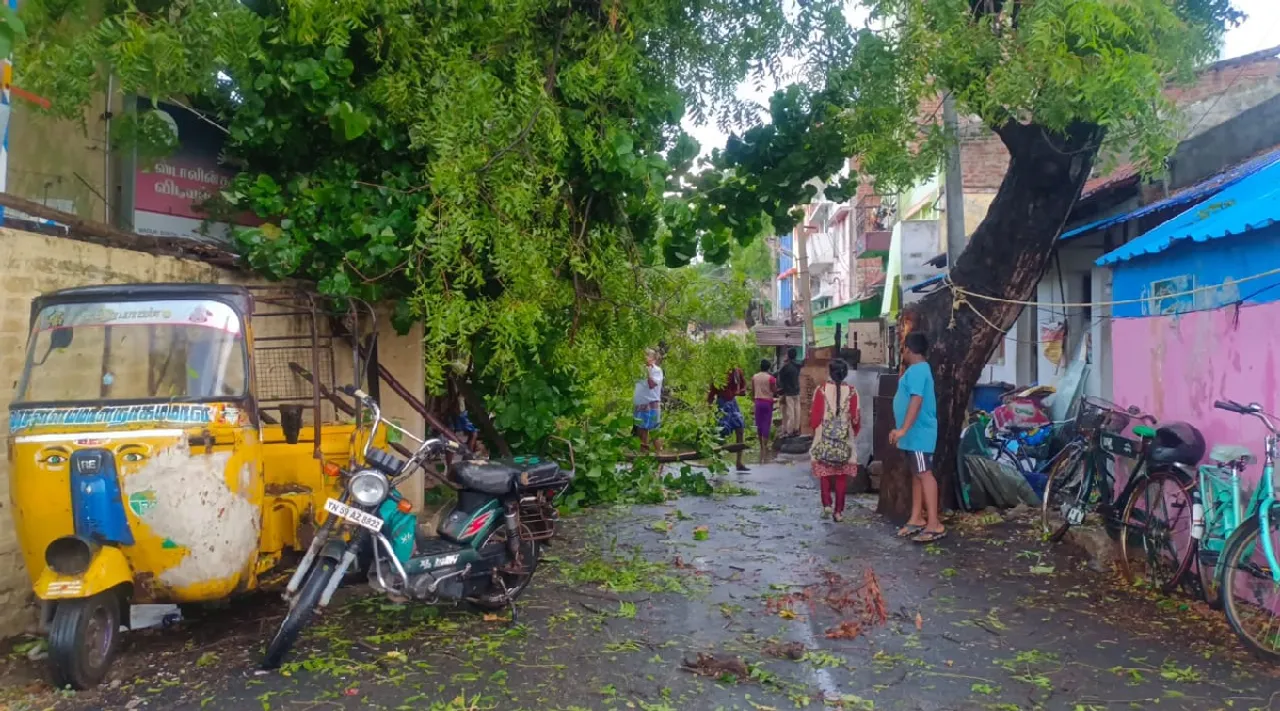 Madurai Heavy Rain uproots trees electric poles in city Tamil News 
