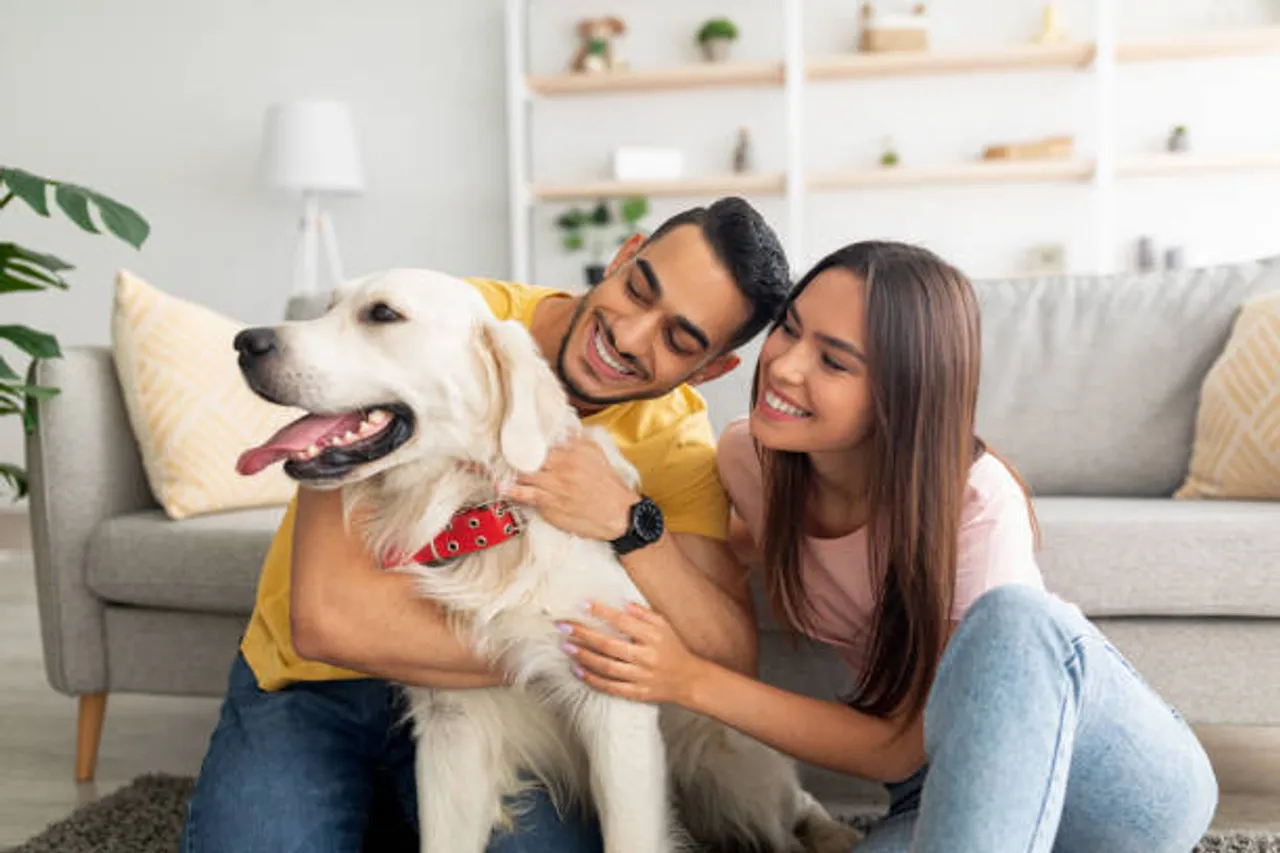 pets