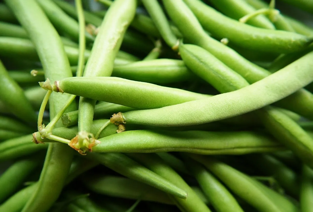 Beans Pixaby