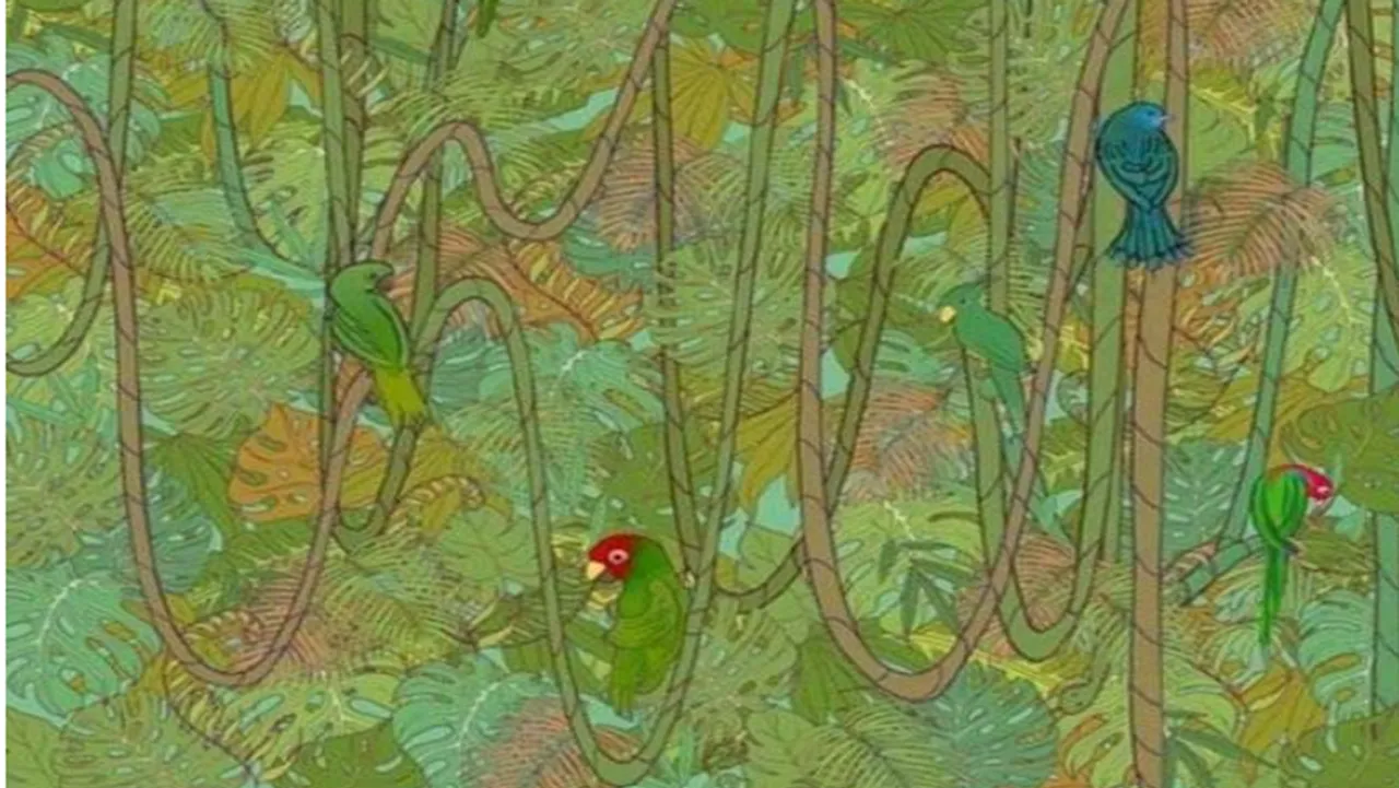 hidden snake within 7 seconds