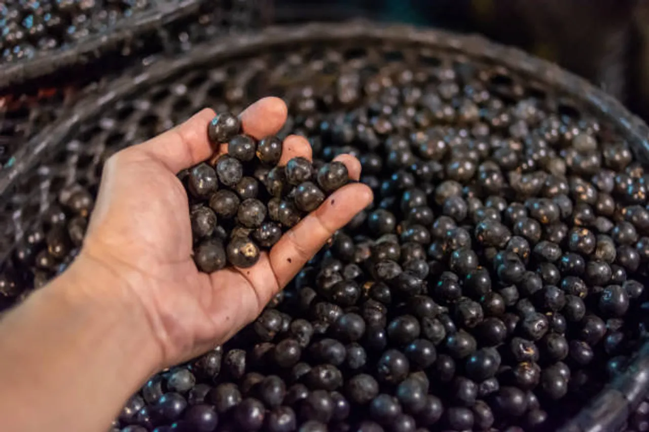 acai berry