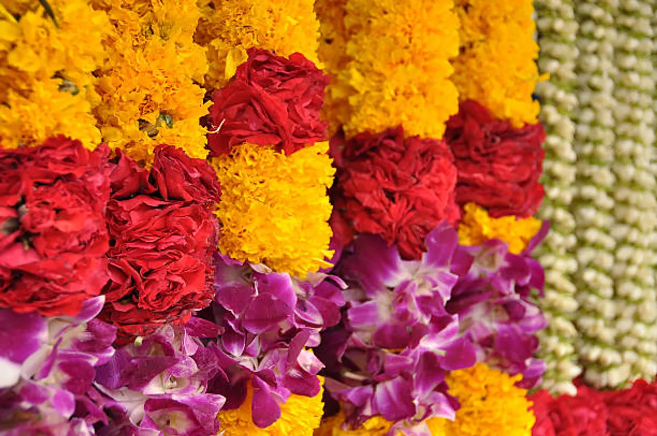 flowers
