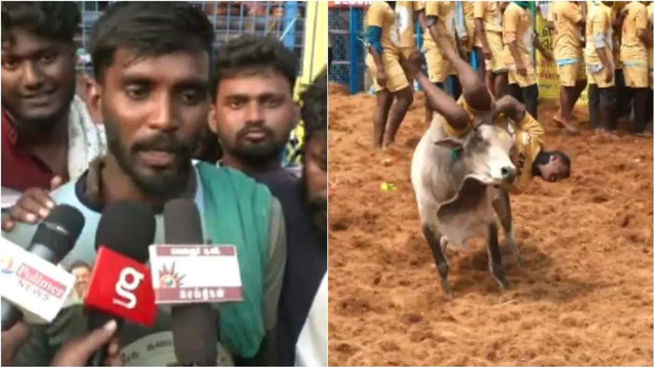 Palamedu jallikattu