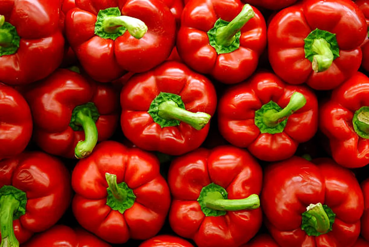 capsicum
