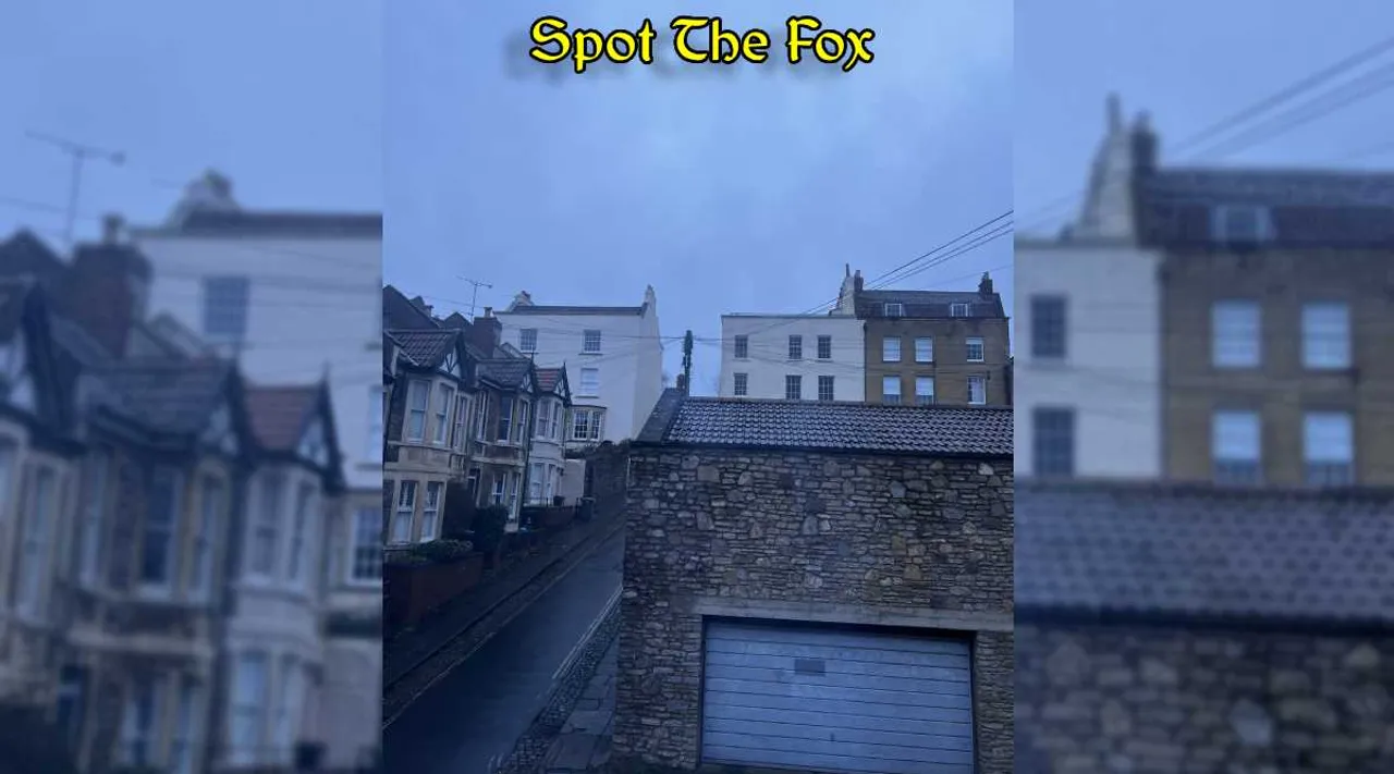 A Fox 1