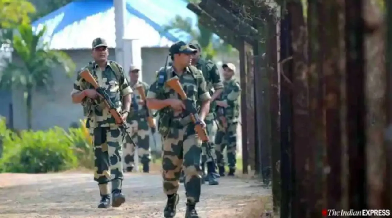BSF.jpg