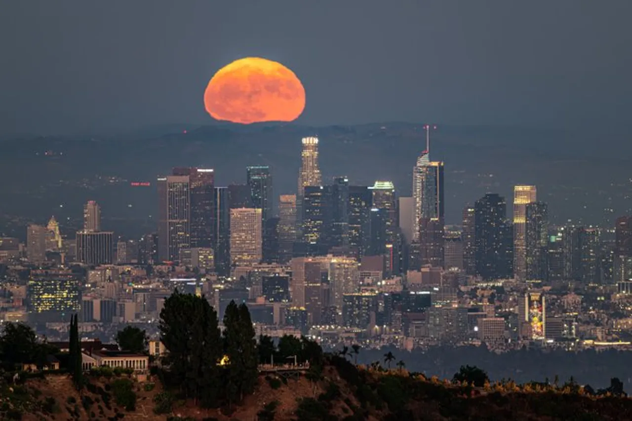 los moon