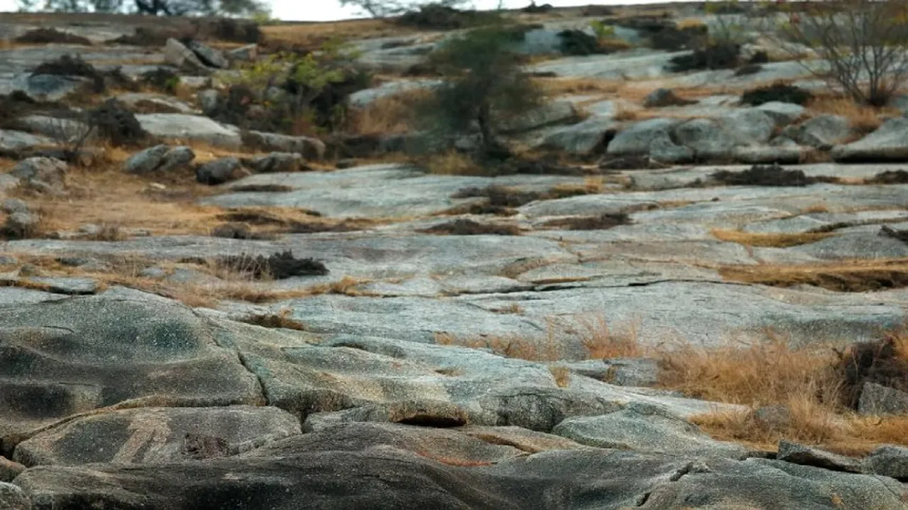 Leopard Rock 1