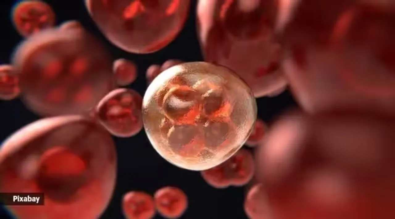 Blood Cancer Awareness Month 2023