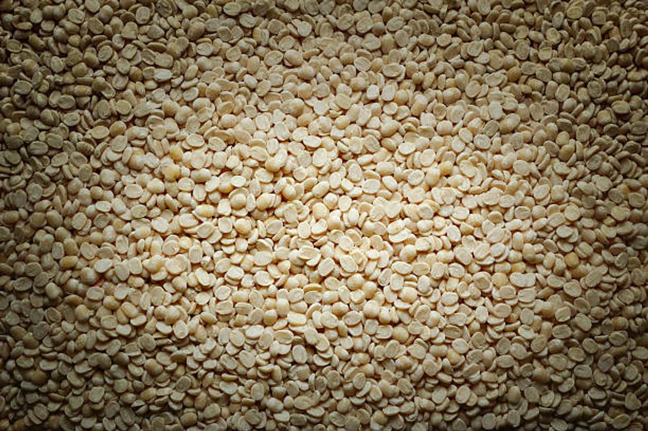 urad dal