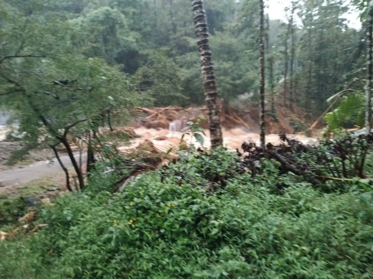 kerala wayanad landslide 