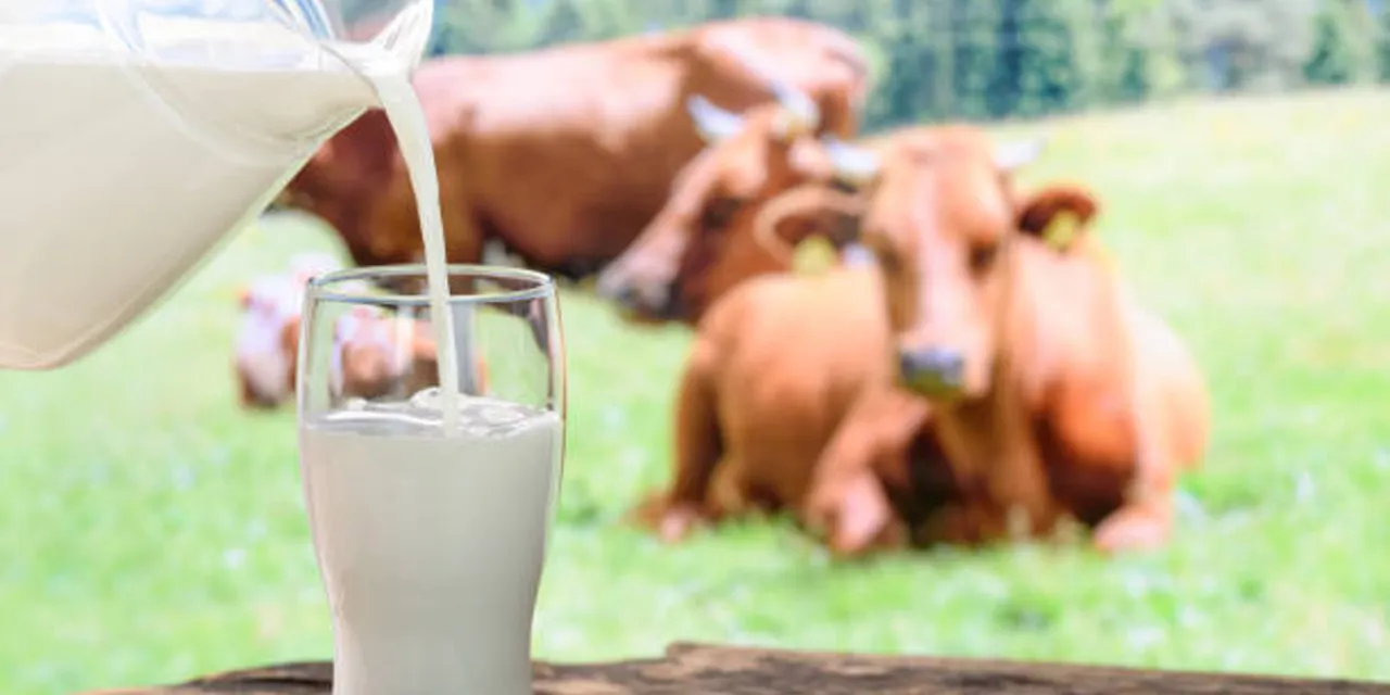 milk
