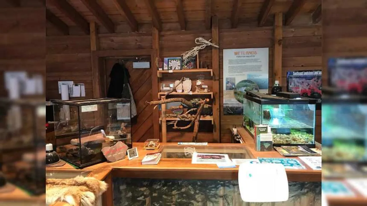 spot the snake